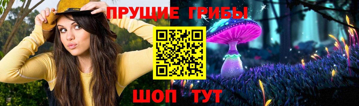 Галлюциногенные грибы Psilocybe  Вход с VPN  Ликино-Дулёво 